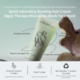 Algae Therapy Mineral No Wash Treatment (150ml / 5.07 fl.oz.)