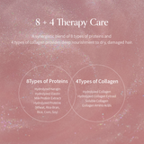 Damage Therapy No-Wash Treatment EX