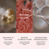 Damage Therapy Shampoo (500ml / 16.91 fl.oz.)