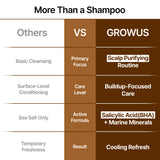 Sea Salt Therapy Scalp Scaler